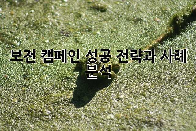 보전 캠페인: 성공 전략과 사례 분석