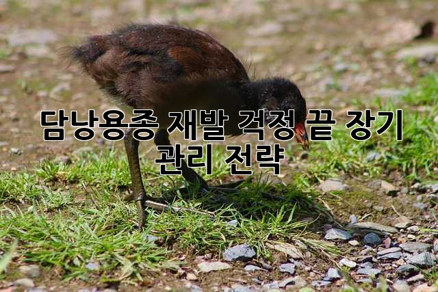 담낭용종, 재발 걱정 끝! 장기 관리 전략